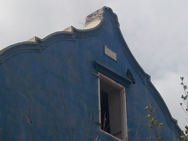 Roof window of La Casa Rosada