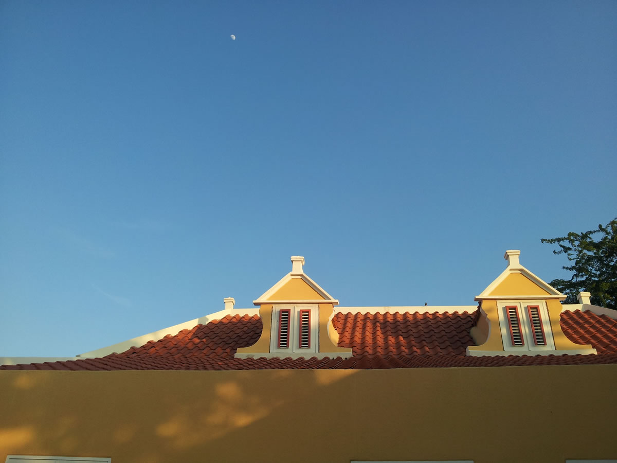 The Yellow House roof and windows